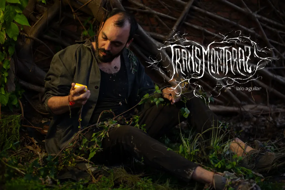 InShot_20241022_034734463