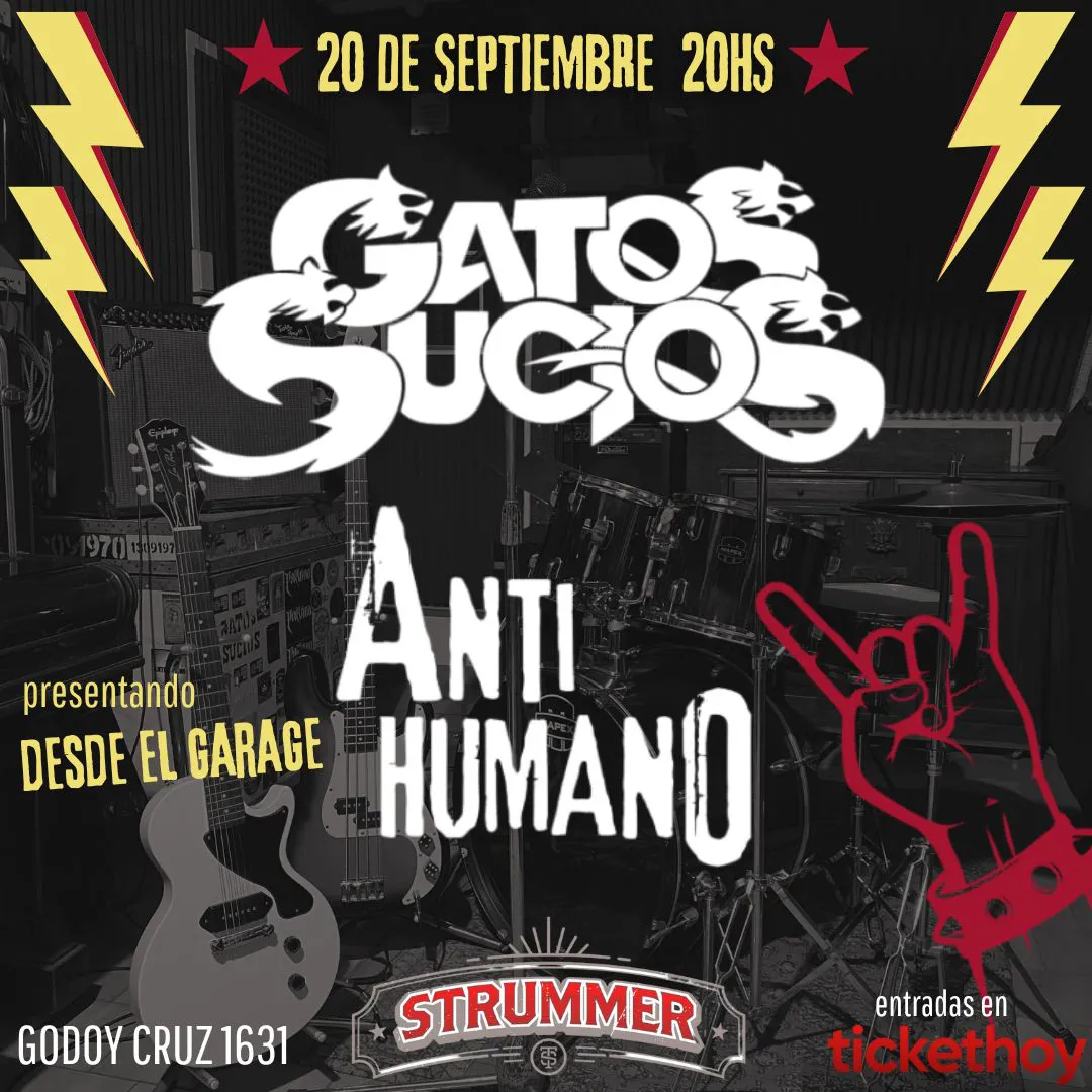 WhatsApp Image 2024-08-22 at 17.51.50