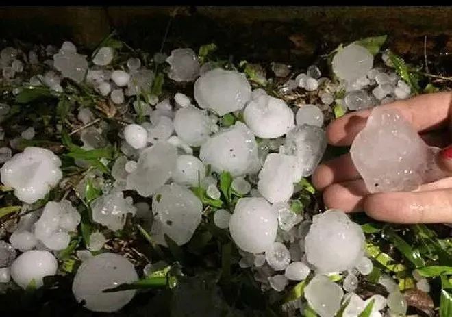 WhatsApp Image 2023-10-05 at 10.52.59