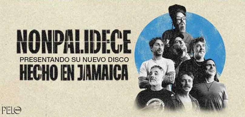 20772_Nonpalidece_FileFotoFichaDesktop