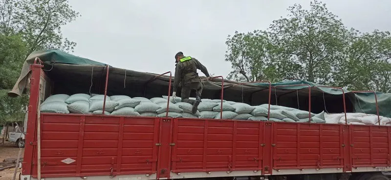 WhatsApp Image 2023-11-03 at 18.15.36