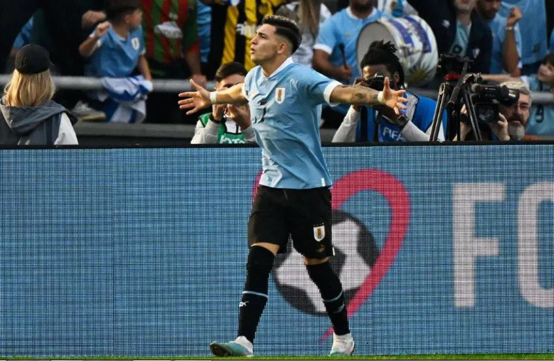 WhatsApp Image 2023-06-08 at 18.13.24